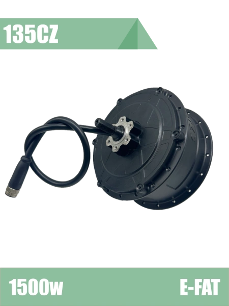 1500W big power e-fat rear gear hub motor